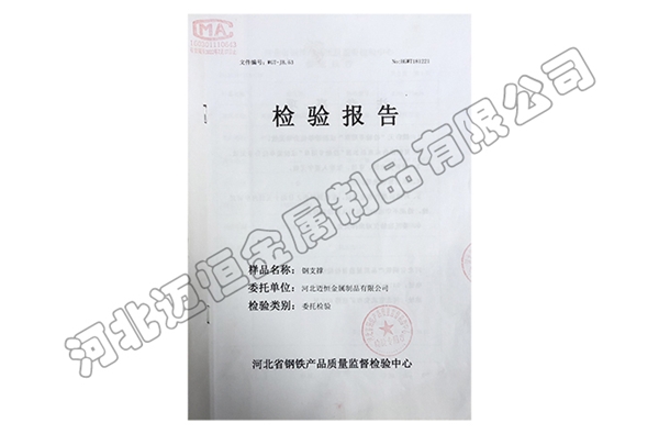檢驗(yàn)報告 (4)